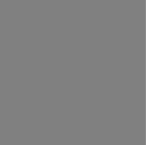 Charcoal frame color for Garaga garage doors